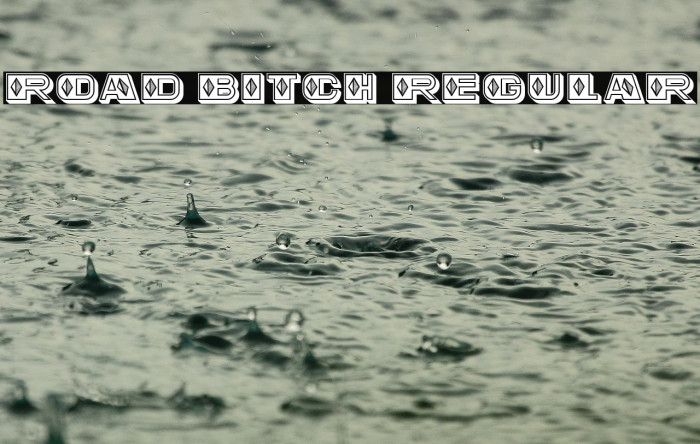 Road Bitch Regular Example 1