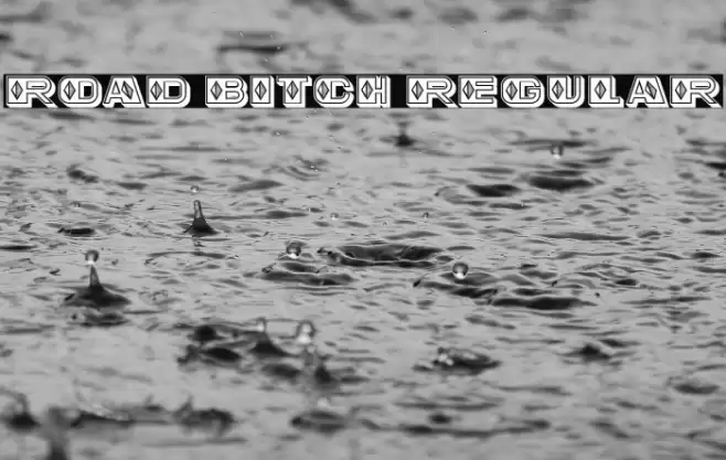 Road Bitch Regular Font examples