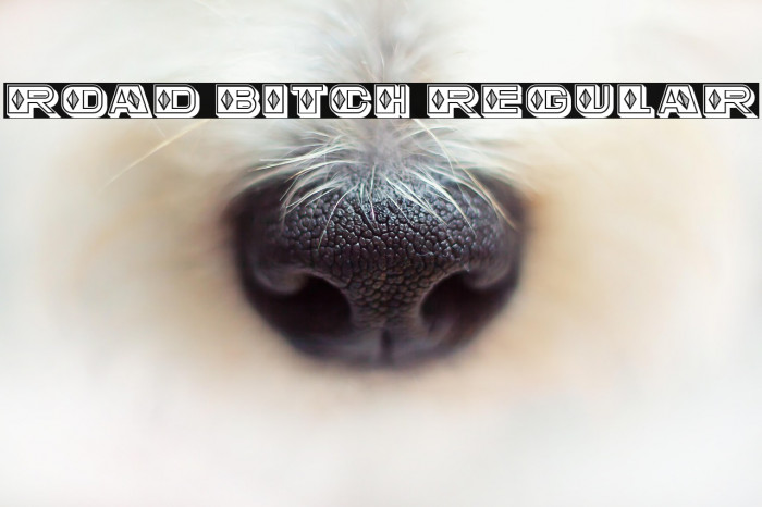 Road Bitch Regular Example 2