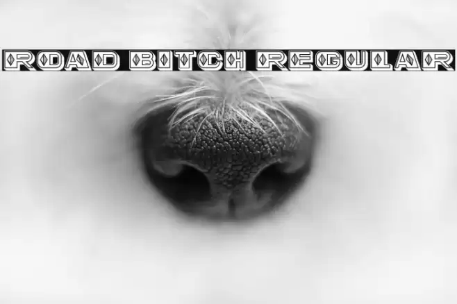 Road Bitch Regular Font examples