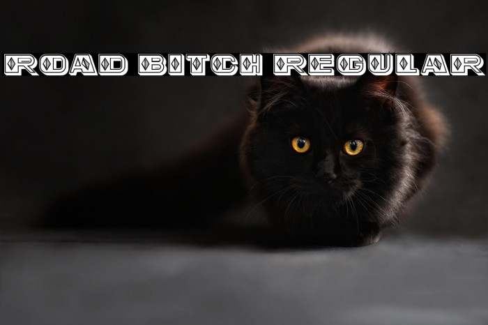 Road Bitch Regular Example 3