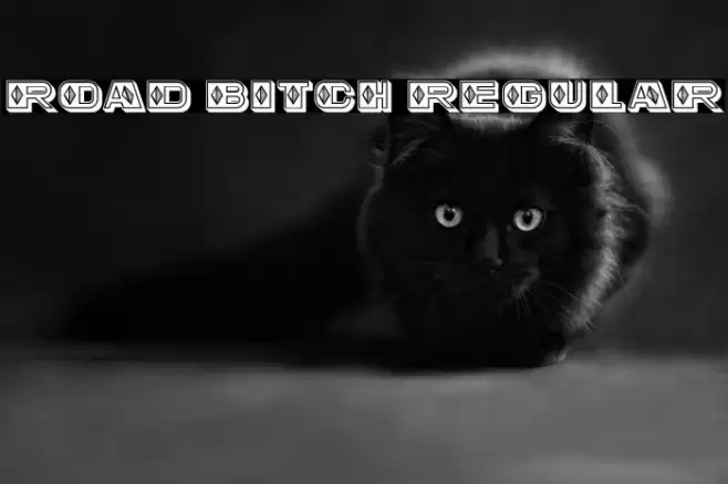 Road Bitch Regular Font examples