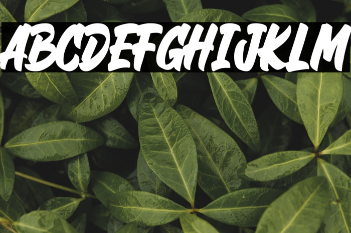 Road Blast! Example 2