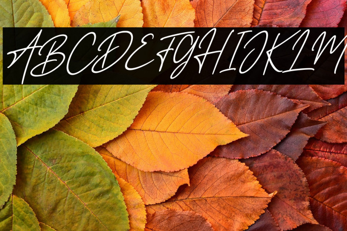 Road Light Italic Example 1