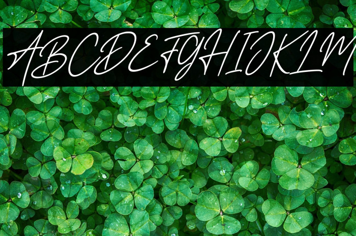 Road Light Italic Example 3