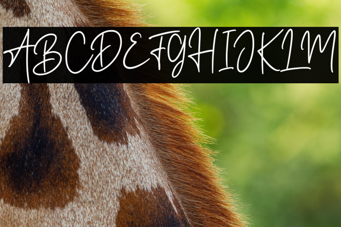 Road Light Example 2