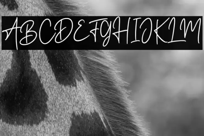 Road Light Font examples