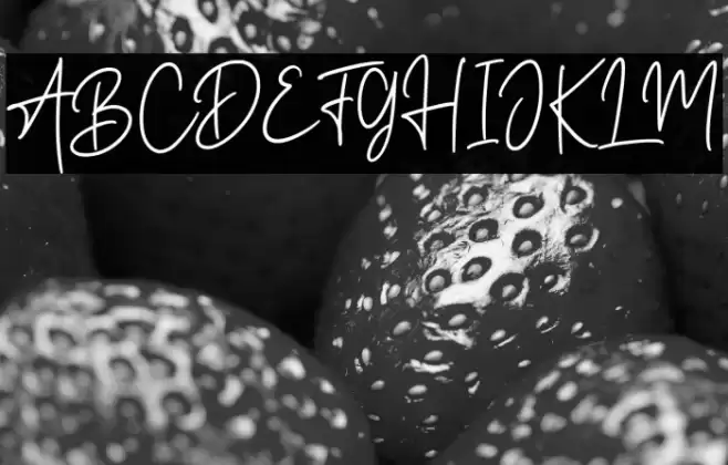 Road Light Font examples