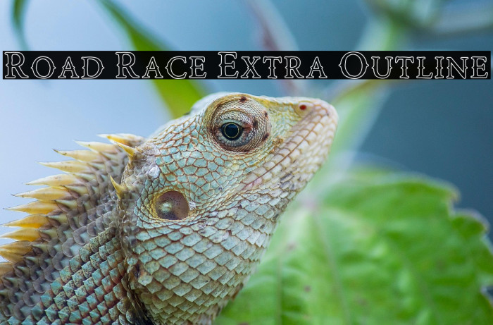 Road Race Extra Outline Example 3