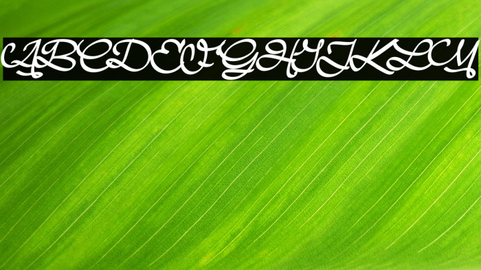 Road Stick_PersonalUseOnly Example 3