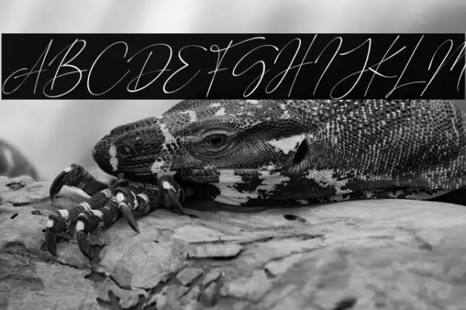 Road Sunshine Italic Font examples