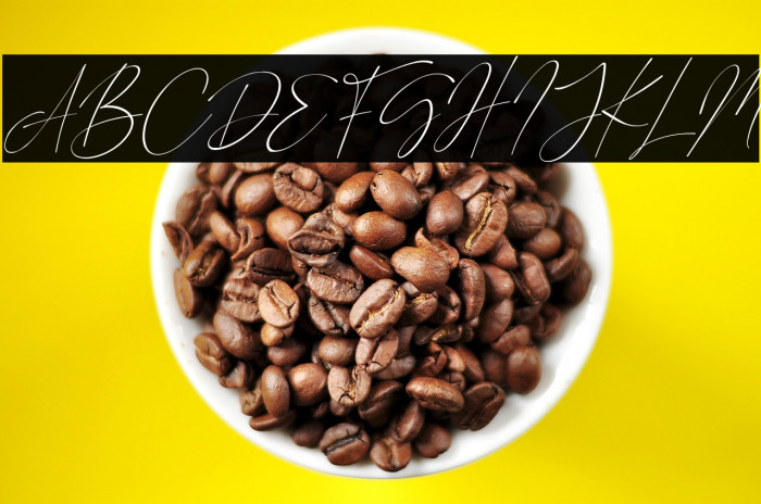 Road Sunshine Italic Example 2