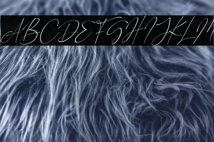 Road Sunshine Italic Example 3