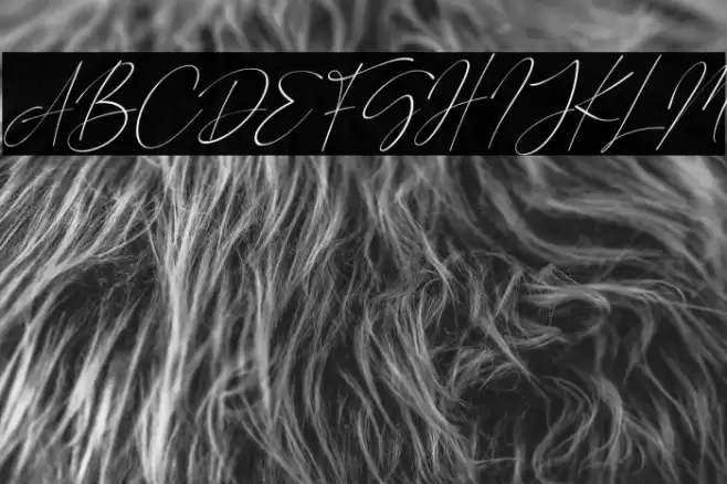 Road Sunshine Italic Font examples