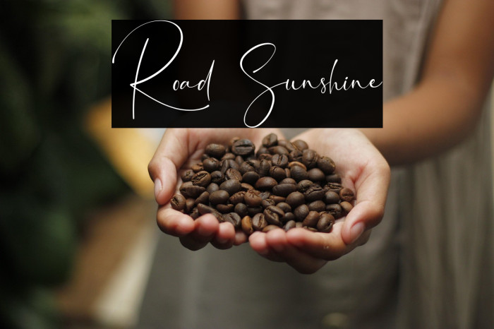 Road Sunshine Example 3