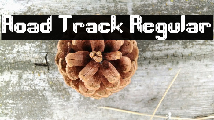 Road Track Regular Font examples