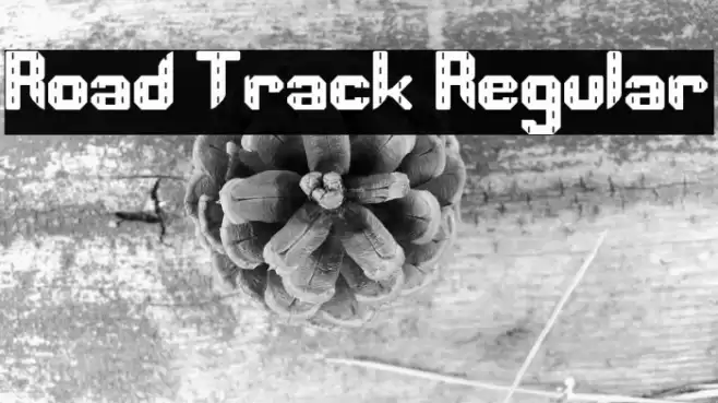 Road Track Regular Schriftart examples
