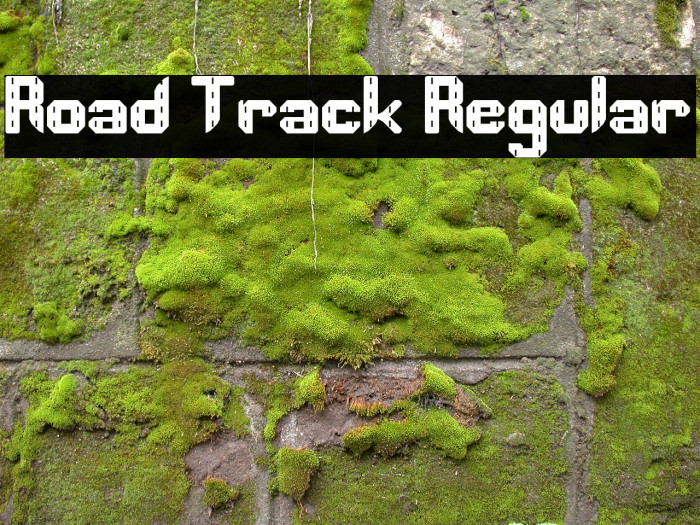 Road Track Regular Font examples