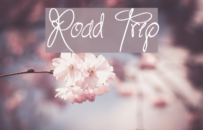 Road Trip Font examples