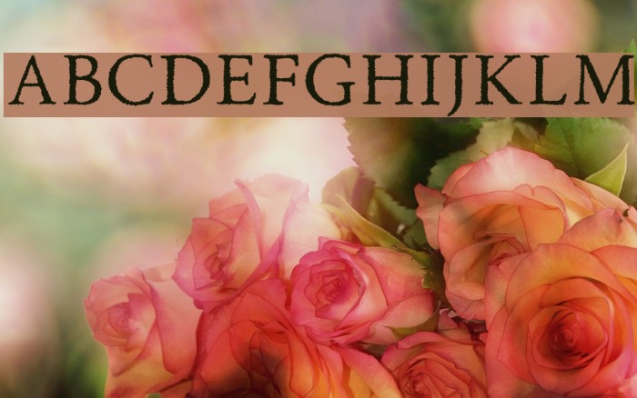 RoadRaceFree-Rough Font examples