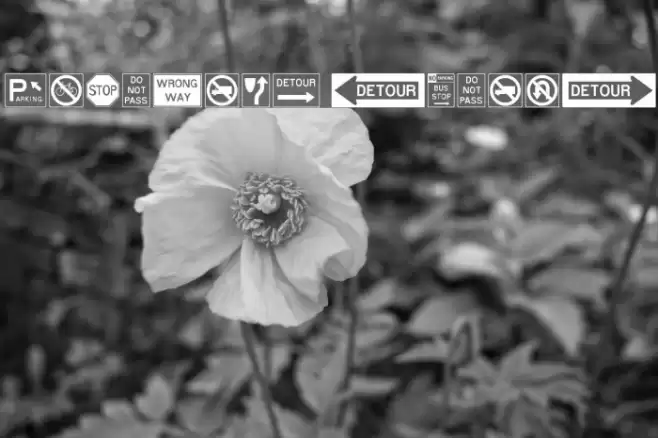 RoadSign Medium Font examples