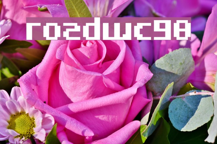 RoadWC98 Font examples