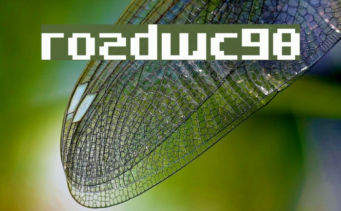 RoadWC98 Font examples
