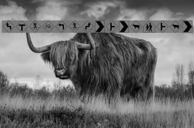 RoadWarningSign Font examples