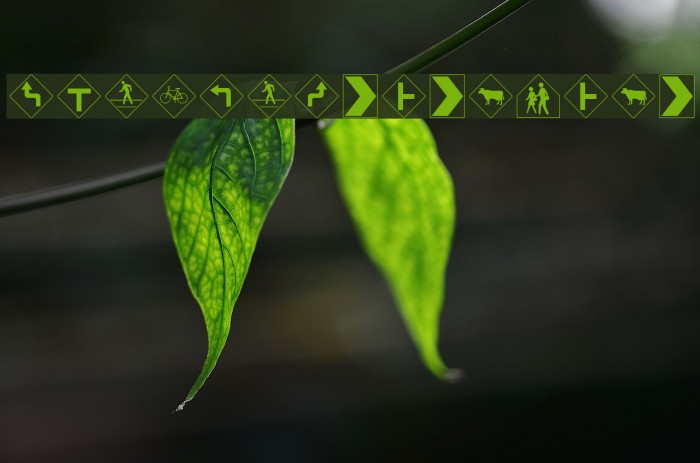 RoadWarningSign Example 3