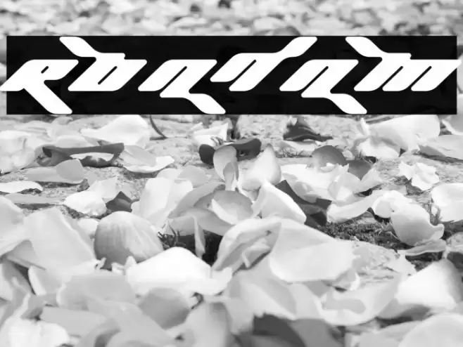 Roadam Fonte examples