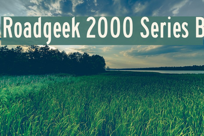 Roadgeek 2000 Series B Font examples
