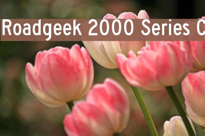 Roadgeek 2000 Series C Font examples
