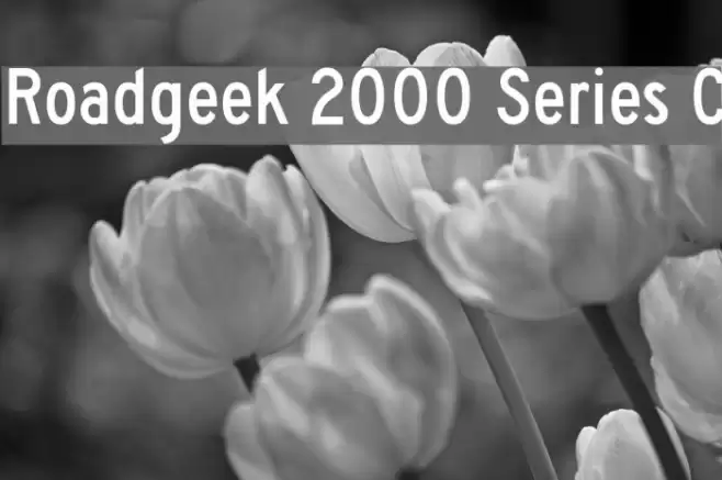 Roadgeek 2000 Series C Caratteri examples