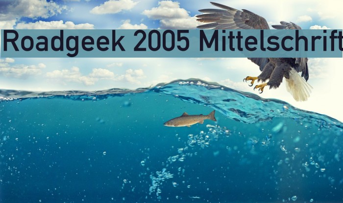 Roadgeek 2005 Mittelschrift لخطوط تنزيل examples