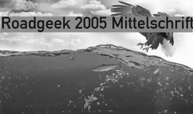 Roadgeek 2005 Mittelschrift خط examples