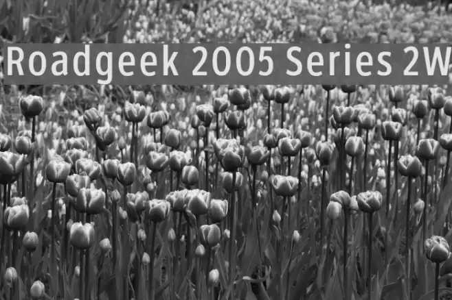 Roadgeek 2005 Series 2W Font examples