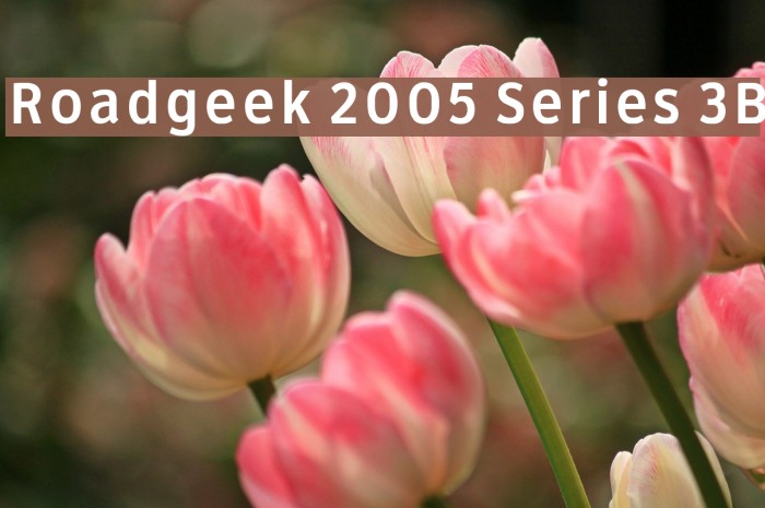 Roadgeek 2005 Series 3B Font examples