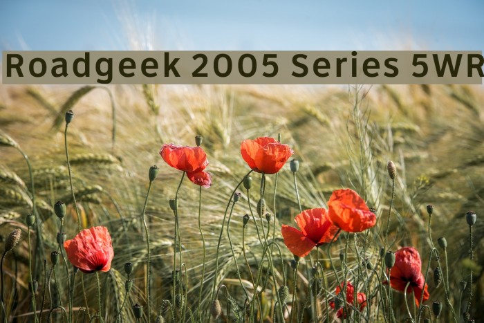 Roadgeek 2005 Series 5WR Font examples