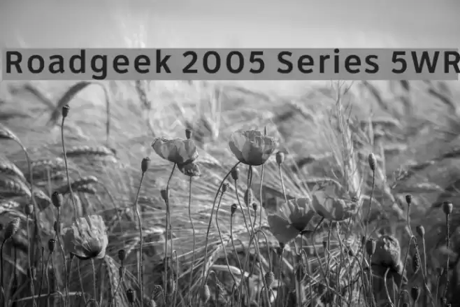 Roadgeek 2005 Series 5WR Font examples