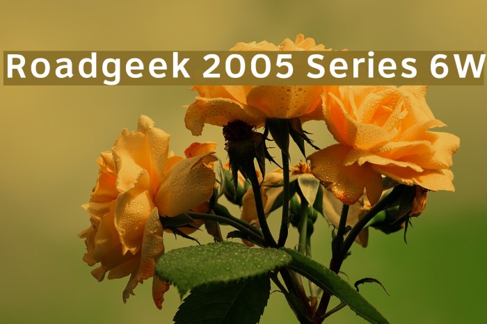 Roadgeek 2005 Series 6W Font examples