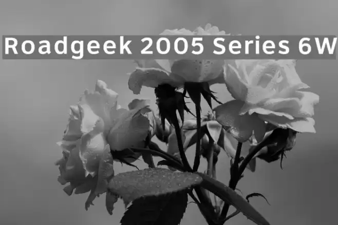 Roadgeek 2005 Series 6W خط examples