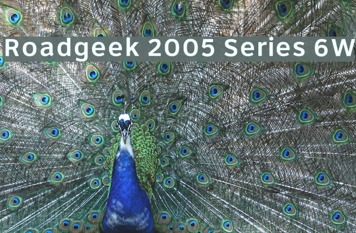 Roadgeek 2005 Series 6W Font examples