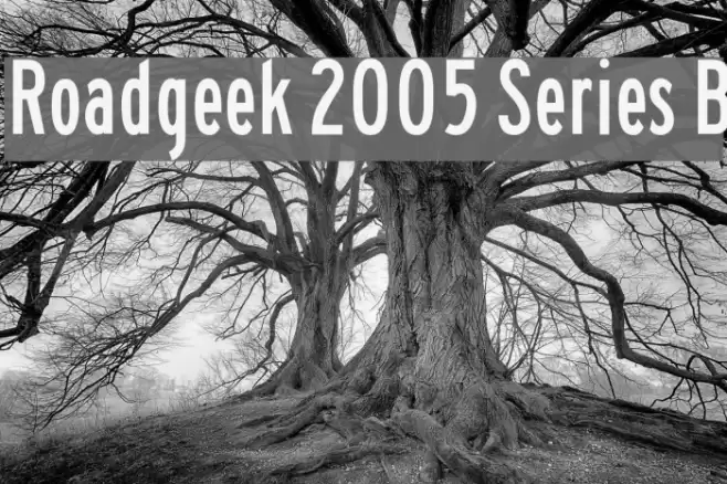 Roadgeek 2005 Series B Font examples