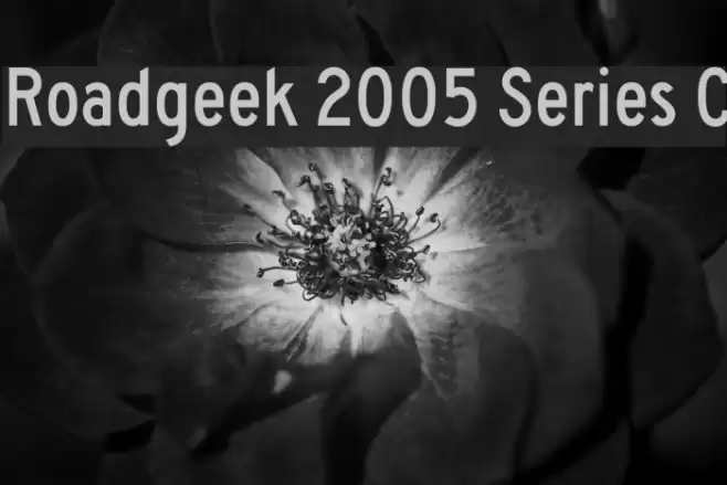 Roadgeek 2005 Series C Font examples