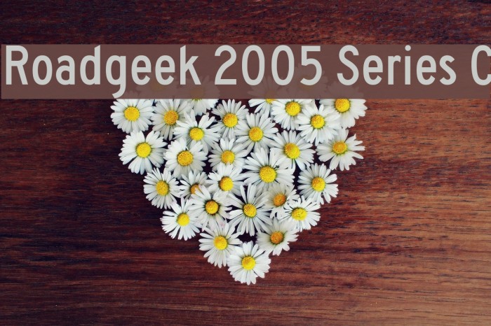 Roadgeek 2005 Series C لخطوط تنزيل examples