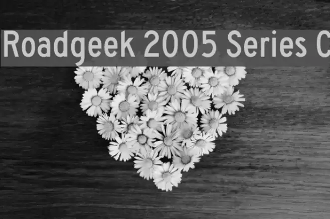 Roadgeek 2005 Series C Font examples