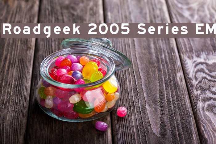 Roadgeek 2005 Series EM Font examples
