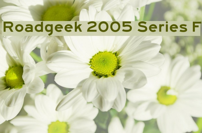 Roadgeek 2005 Series F Font examples