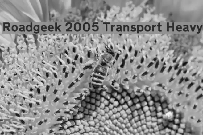Roadgeek 2005 Transport Heavy Font examples