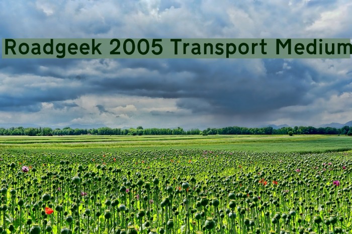 Roadgeek 2005 Transport Medium Font examples